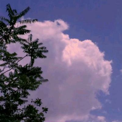 开元体育··官方网站